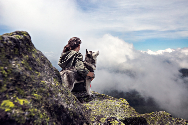 sitting, sky, pets, hill, 2K, woman, domestic, aerial, stones, one person, rock - object, cloud - sky, nature, mountain, view, beside, watching, dog, rock