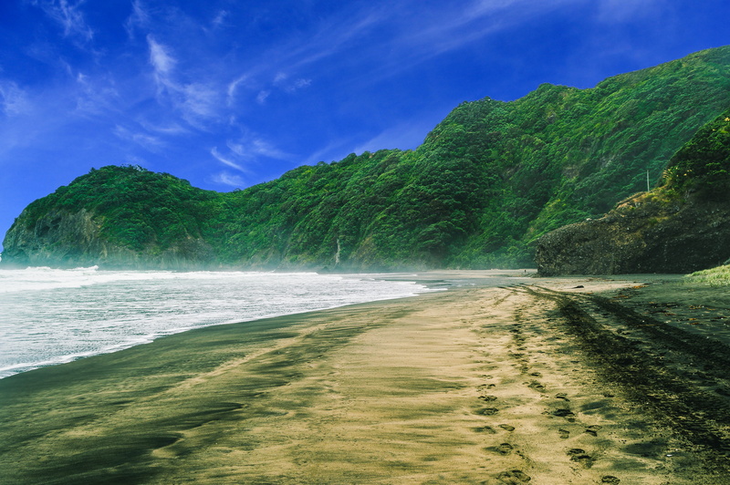 new zealand, beauty in nature, blue sky, beach, wave, piha, no people, mountain ridge, sport, 5K, land, aquatic sport, plant, sky, lookout, green, scenics - nature