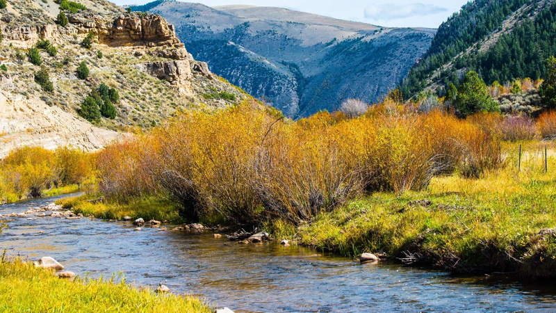 land, growth, mountain range, tranquility, flowing, water, autumn, mountain, outdoors, scenics - nature, non-urban scene, plant, day, 1080P, lake, change