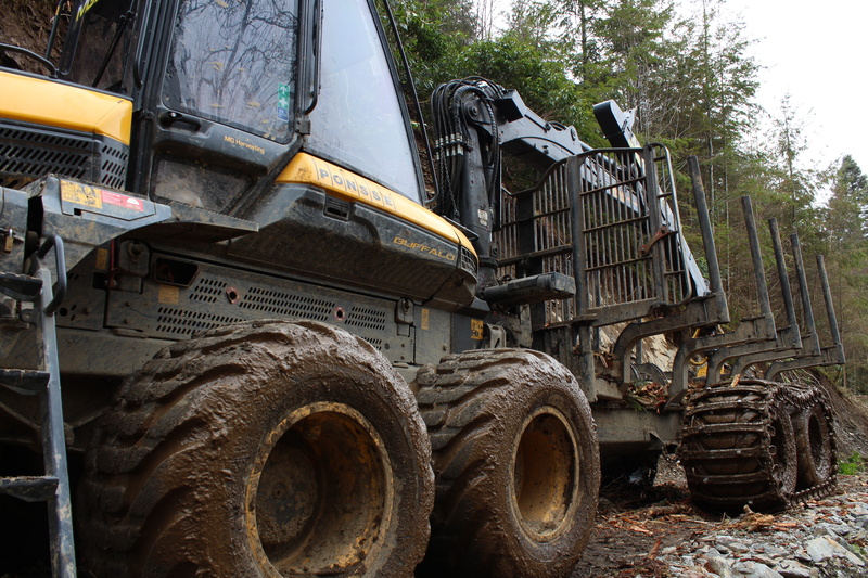 land vehicle, stationary, logging machine, run-down, transportation, forestry truck, tire, obsolete, deterioration, plant, day, nature, mode of transportation