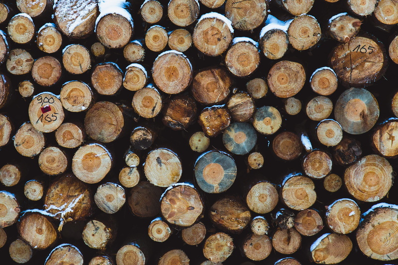 Timber, forest, lumber industry, deforestation, fuel and power generation, Wood, log, industry, food and drink, outdoors, tree, fossil fuel, wood - material