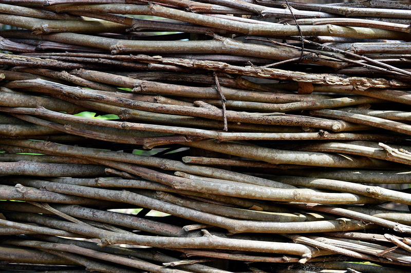 aging, natural, surface, 5K, seafood, food and drink, day, rough, wall, timber, still life, high angle view, outdoors, aged, tree, structure, rod, wellbeing