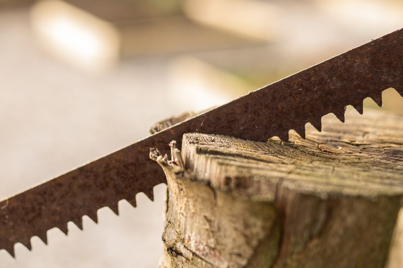 metal, hand tool, selective focus, cutting, saw, sharp, no people, still life, work tool, equipment, day, hand saw, rusty, 4K, carpentry, wood, nature