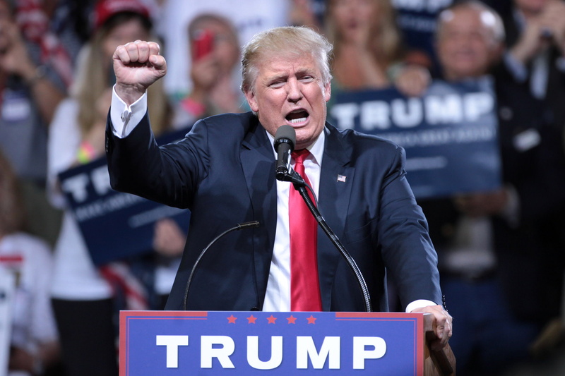 america, states, trump, men, donald, 1080P, usa, united, president, man
