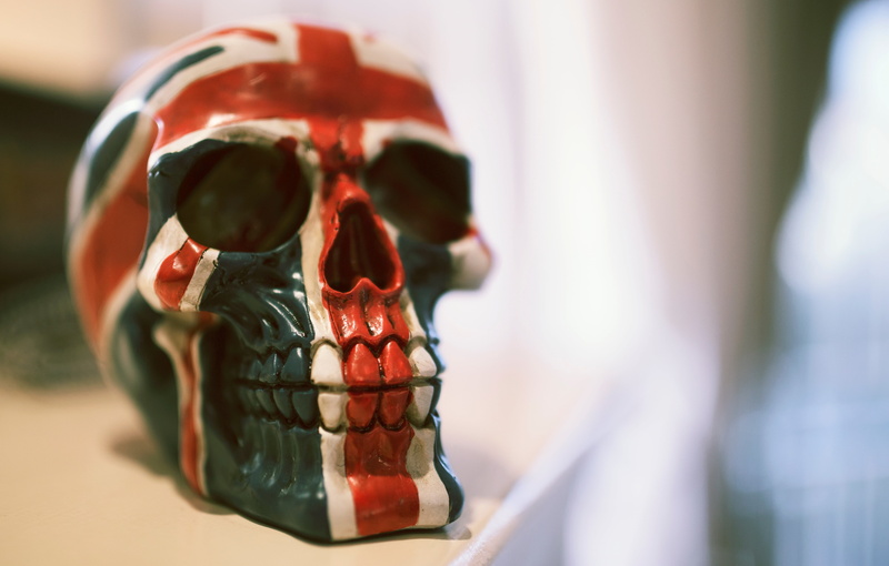 focus on foreground, spooky, body part, decor, paint, skull, still life, healthcare and medicine, human bone, close-up, human body part, decoration, bone