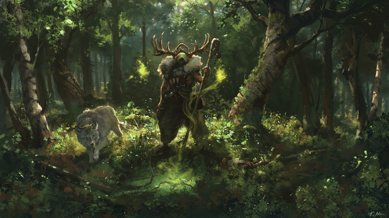 Wolf, 1080P, Druid, Fantasy