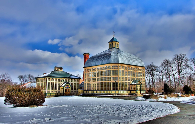 cold temperature, plants, day, rawlings conservatory, plant, sky, snow, dome, park, bare tree, architecture, no people, 1080P, building, cloud, building exterior