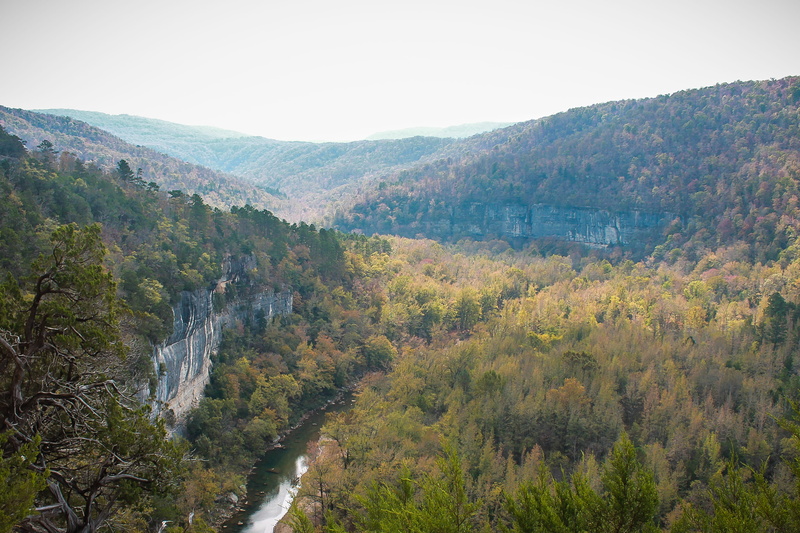 change, summit, tree, high angle view, forest, trees, view, tranquil scene, scenics - nature, arkansas, river, landscape, nature, non-urban scene, beauty in nature