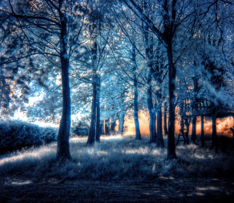 Infrared, 1080P, Photography