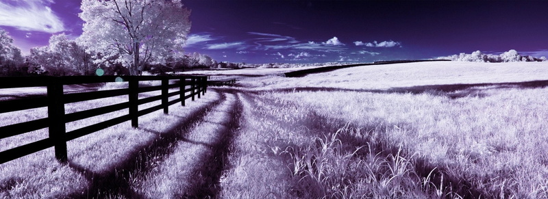 Infrared, Photography, 1080P