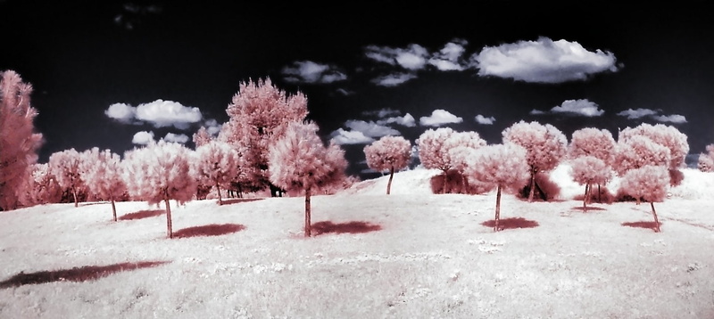 1080P, Infrared, Photography