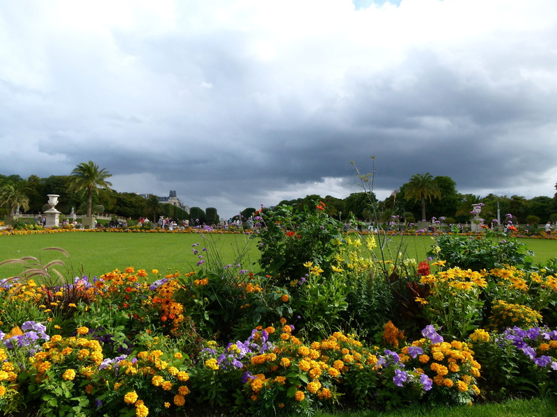 summer, environment, flower, trees, spring, day, beauty in nature, 4K, plant, no people, land, flower head, countryside, park, flowers, outdoors, field