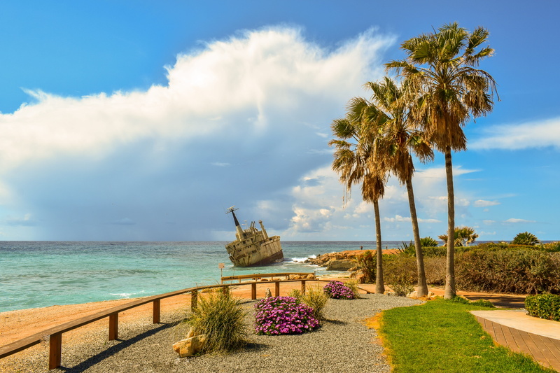 water, tree, outdoors, palm trees, clouds, growth, palm tree, scenics - nature, tropical climate, edro iii shipwreck, land, plant, tranquil scene, 5K