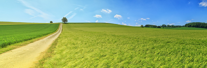 beauty in nature, landscape, tranquility, panoramic, wide, meadow, rest, scenics - nature, no people, agriculture, lane, green color, idyllic, land, rural scene