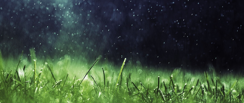 grass, Depth Of Field, nature, ultra, photography, 2K, wide
