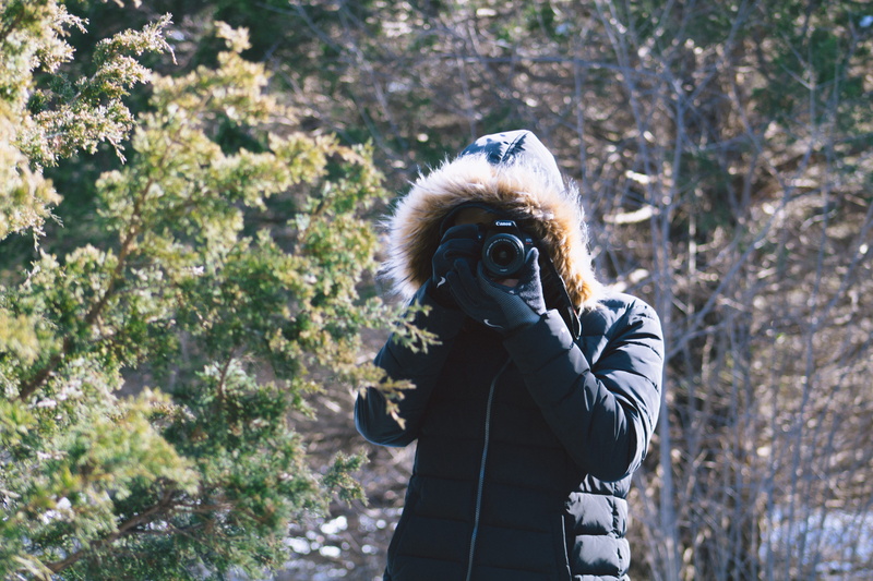 technology, holding, 5K, winter, obscured face, outdoors, plant, waist up, digital camera, activity, hood - clothing, adult, photographer, photography themes