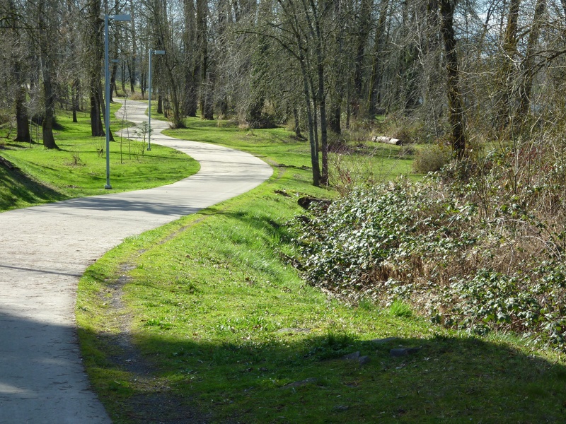 spring, walking path, tree, trails, path, tranquility, walk, bicycle, 2K, park, beauty in nature, cycle, woodland, trunk, direction, nature, growth, walking