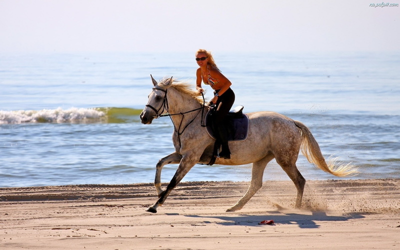1080P, mujer, caballo, playa, paseo