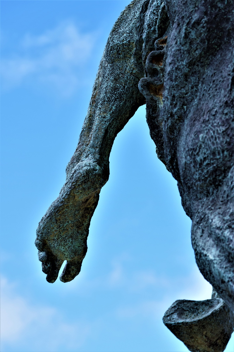 pata, eroded, textured, rhodes, tranquility, rhodes memorial, man, rock, horse, rough, nature, day, energy, voet, ankle, leg, no people, south africa, hard