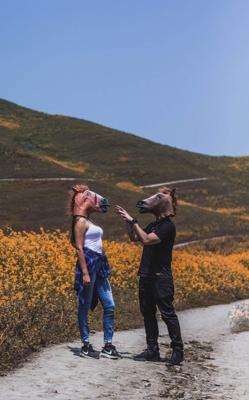 pose, field, landscape, horse mask, wearing, caballo, horse, leisure activity, positive emotion, magic, full length, flower, crazyz, near, style, play