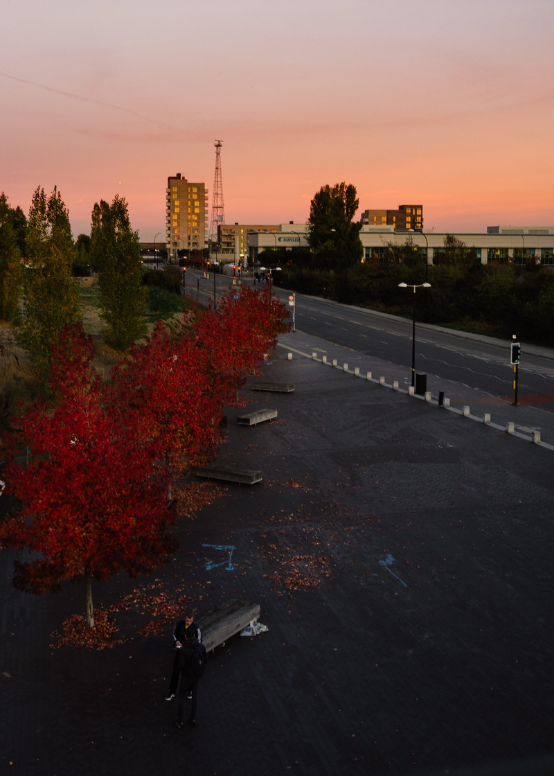 road, mode of transportation, orange color, plant, nature, built structure, sunset, people, cityscape, drinking, trees, building exterior, dlr, talking