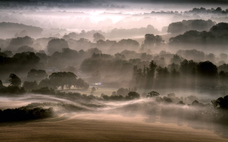 plant, idyllic, beauty in nature, hills, morning, cloud - sky, trees, mist, outdoors, non-urban scene, landscape, sun rays, environment, nature, sunlight