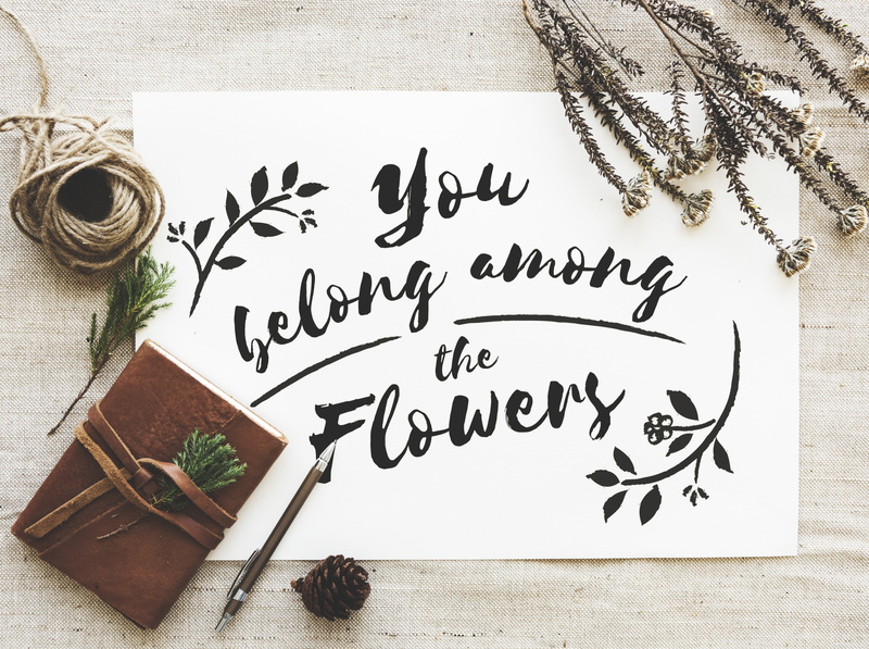 Wildflowers, no people, creativity, paper, 5K, Decor, Typography, text, Flowers, directly above, sign, nature, ink well, Among, Style, Decorative, ink