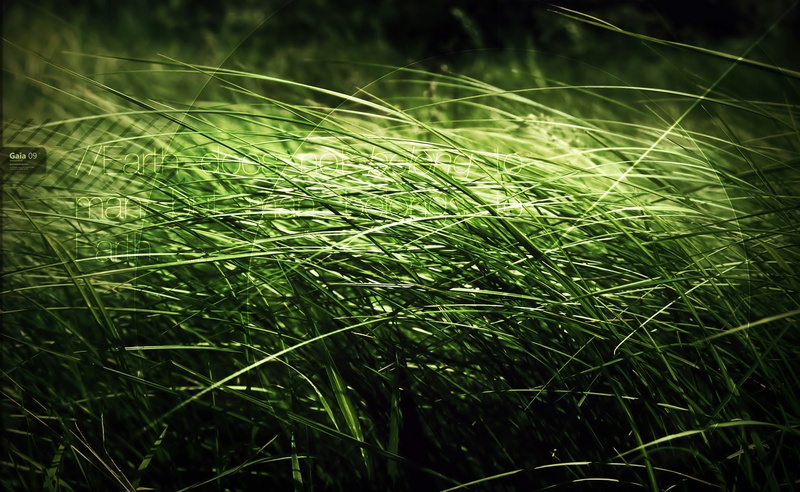 blade of grass, no people, man, agriculture, selective focus, plant, green color, stalk, field, tranquility, growth, day, Artistic, land, green, sunlight