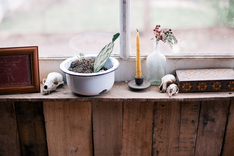 flowering plant, flower pot, outdoors, no people, window sill, skull, belonging, wall - building feature, container, decoration, wood - material, leaf