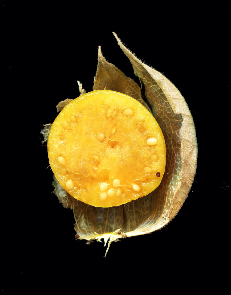 snack, food and drink, cut out, indoors, close-up, studio shot, scanners, sweet, ready-to-eat, copy space, ripe, no people, still life, black background