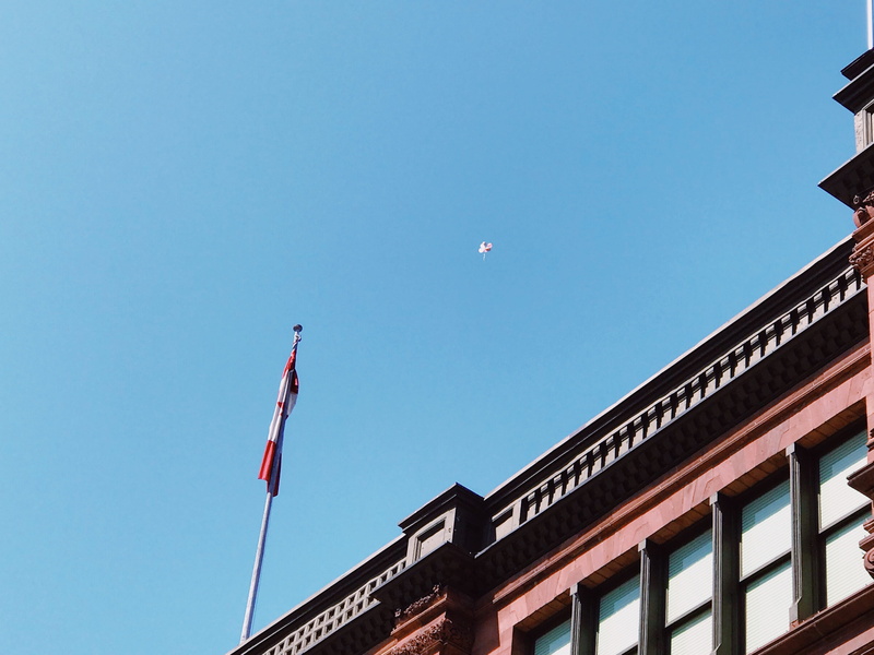 city, nature, flying, flag, blue, patriotism, copy space, building exterior, blue sky, montreal, built structure, bird, architecture, high section, no people