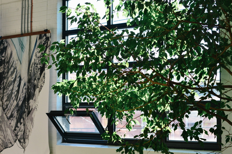 canada, wall - building feature, leaf, building, nature, warehouse, no people, m0851, plant, industrial, houseplant, plant part, architecture, tree, 5K