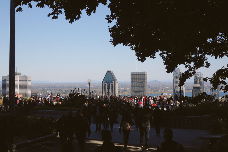 tree, montreal, canada, group of people, built structure, skyscraper, real people, city life, nature, women, skyline, mont royal, park, city, government