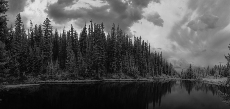 serene, cloud - sky, water, natural, plant, infrared, land, outdoors, serenity, pine woodland, reflection lake, scenics - nature, 8K, black and white