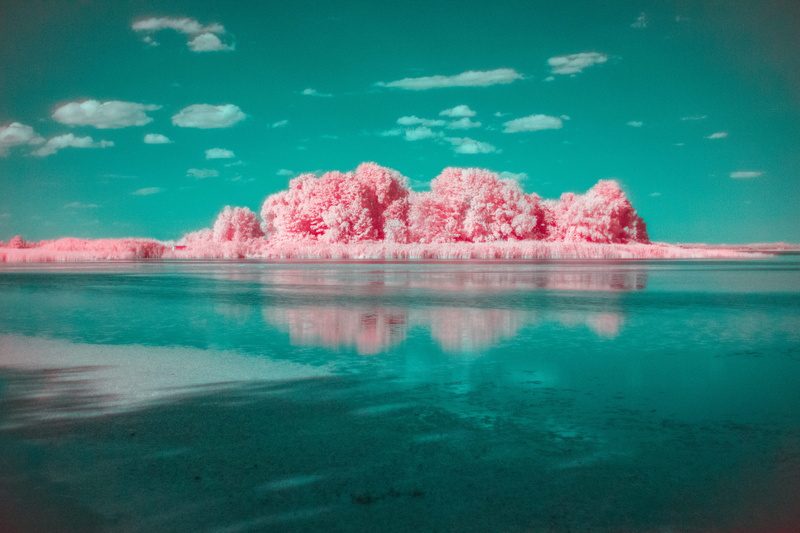 blue, nature, river, sunlight, landscape, pink Color, lake, pink forest, season, sea, reflection, no People, sky, body, lake side, formation, horizon, horizon line