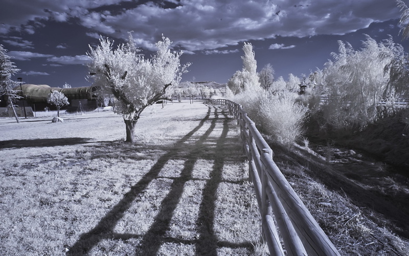fence, nature, 1080P, infrared, trees, landscape