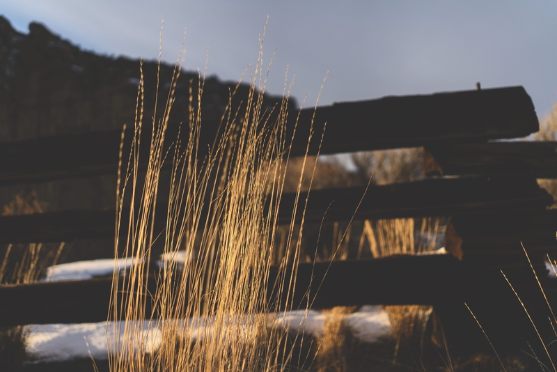 desert, beauty in nature, snow, selective focus, sky, united states, outdoors, fence, water, weeds, no people, field, land, focus on foreground, wood - material