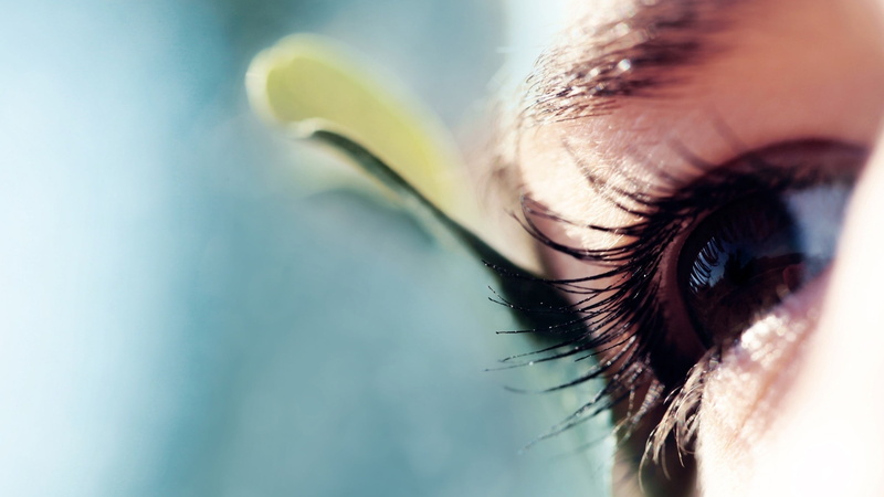 eyelashes, cornea, eyelash, eyelid, macro, eyebrow, color Image, brown, beauty, beautiful, portrait, people, human body part, day, close-up, iris - Eye