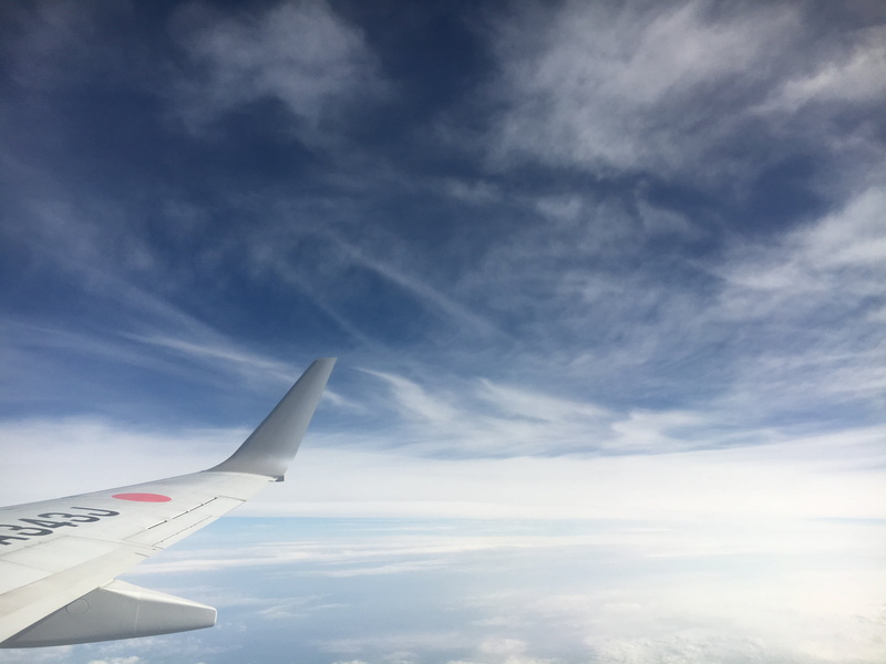 scenics - nature, daytime, cloudscape, commercial Airplane, white color, airline, no people, travel, above, air Vehicle, blue, aerospace industry, sky