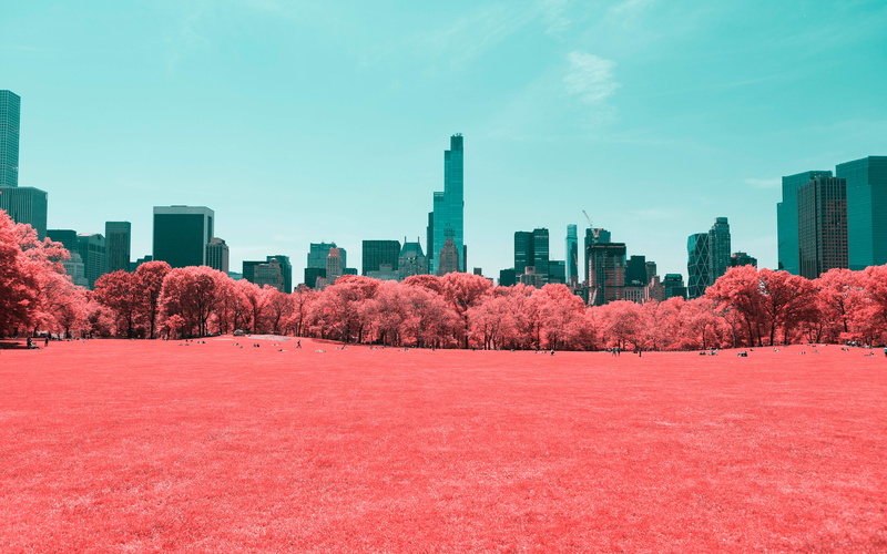 4K, park, central, infrared, nyc