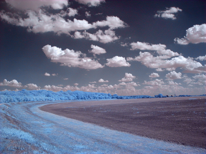 field, 1080P, grass, clouds, trees, infrared