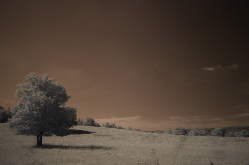 infrared, 4K