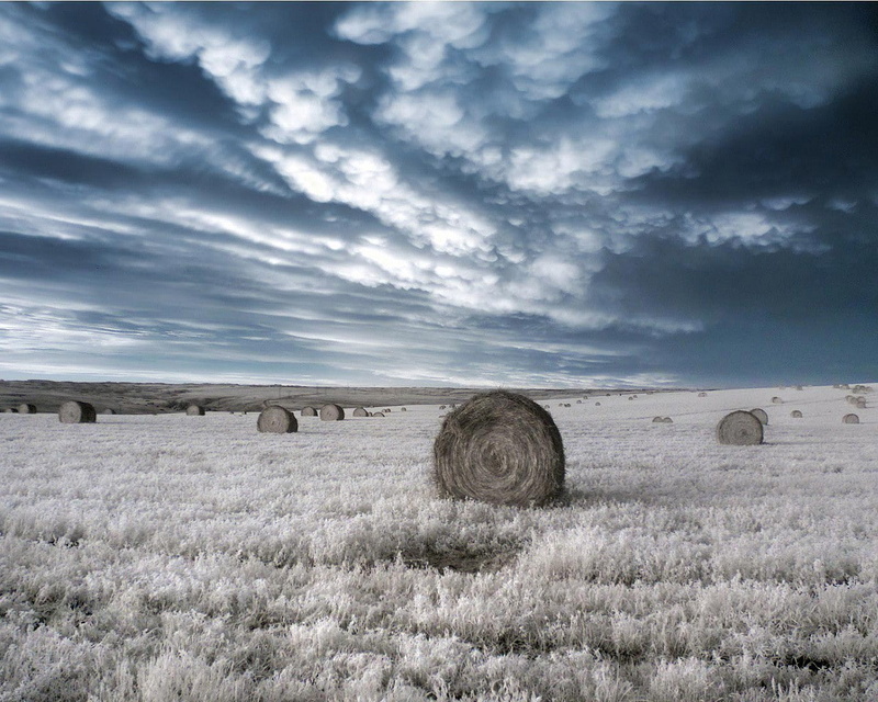 infrared, clouds, bales, 720P, Field