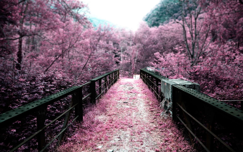 2K, bridge, Infrared