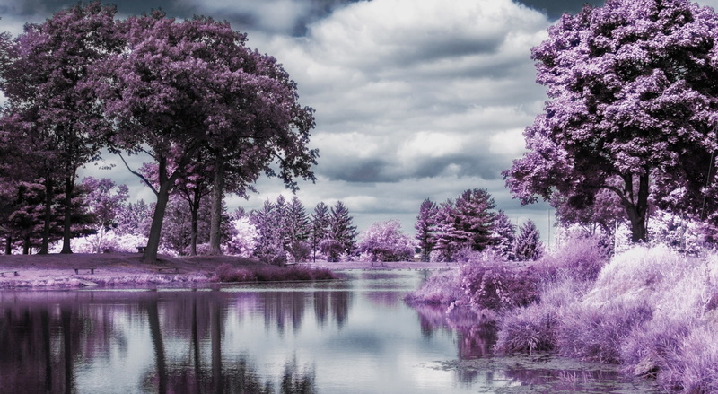 outdoors, flowering plant, scenics - nature, no people, infrared, springtime, beauty in nature, sky, water, flower, pink color, Nature, purple, tree, tranquility