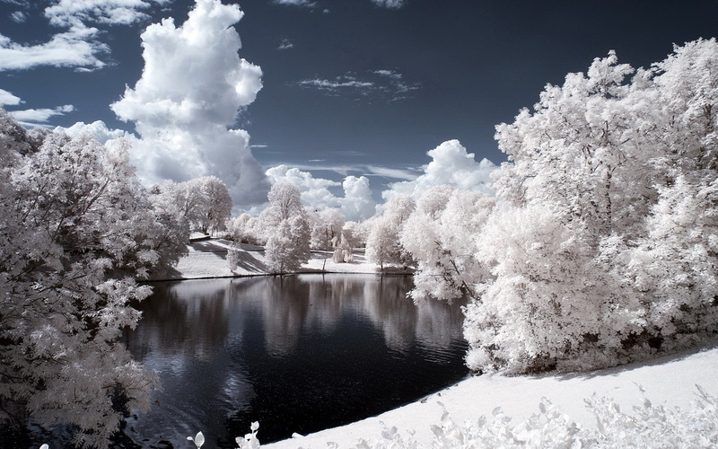 trees, infrared, 720P, lake, landscape
