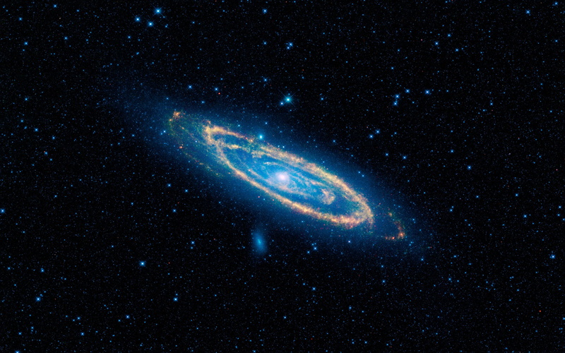 star - space, sea, space, animal, andromeda, animal themes, marine, animal wildlife, sky, beauty in nature, no people, spiral, space exploration, glowing
