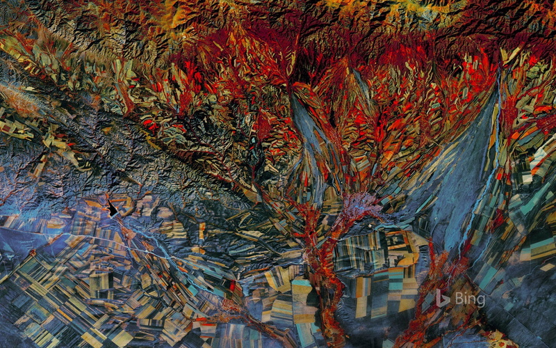 kazakhstan, branch, 1080P, autumn, bing, multi colored, wall - building feature, autumn collection, change, no people, infrared, composite, creativity