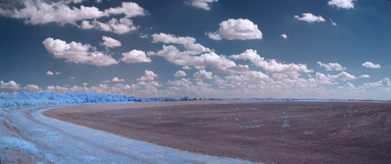4K, field, trees, grass, landscape, clouds, infrared