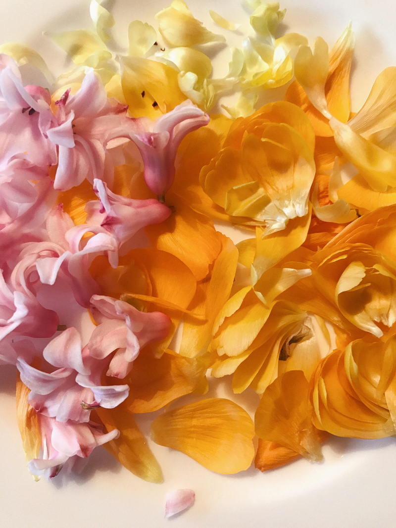 spring flowers, flowering plant, flower arrangement, beauty in nature, freshness, rose, petals, flower head, petal, köln, fragility, ranunculus, vulnerability